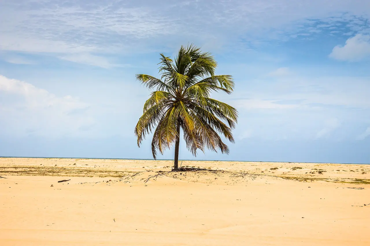 Paisagem da Foz do Velho Chico