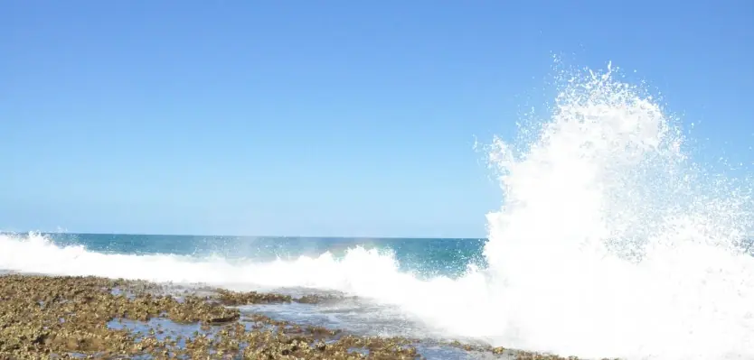 Arrecifes da Praia do Francês