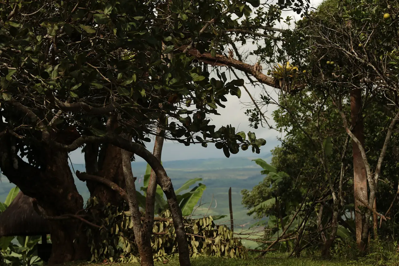 Mirante da Serra da Barriga