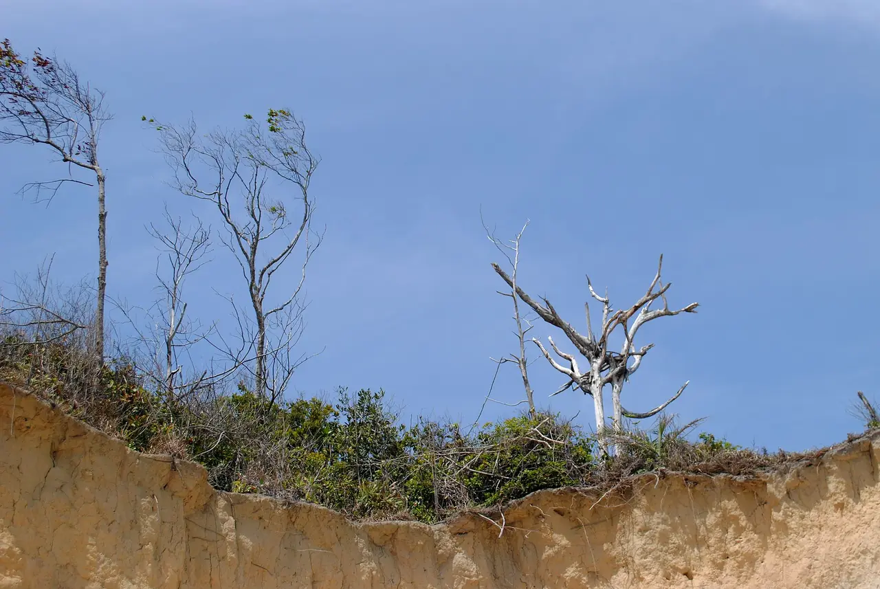 Paisagem preservada de Carro Quebrado
