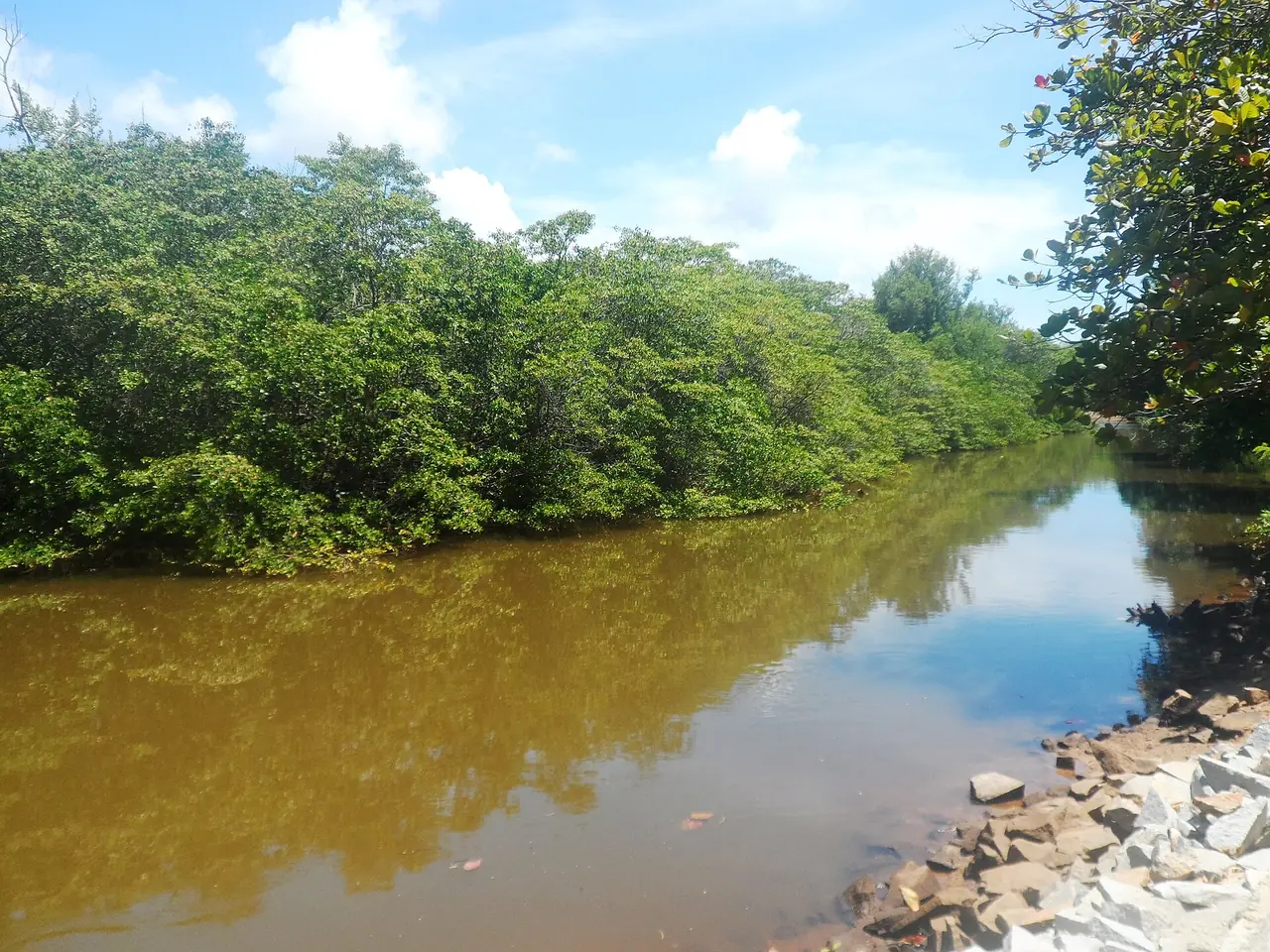 Paisagem de Porto de Pedras