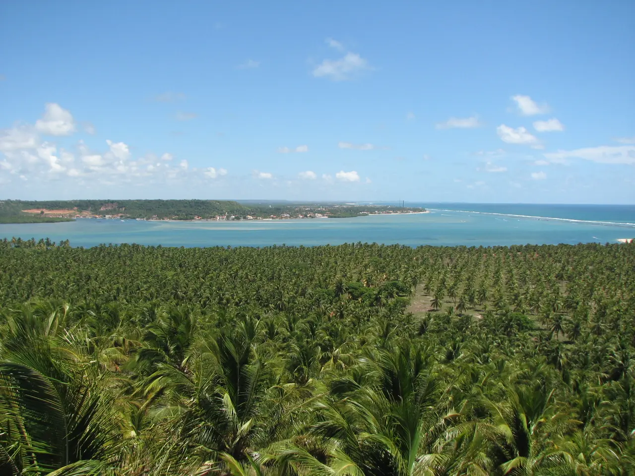 Vista do mirante da Praia do Gunga