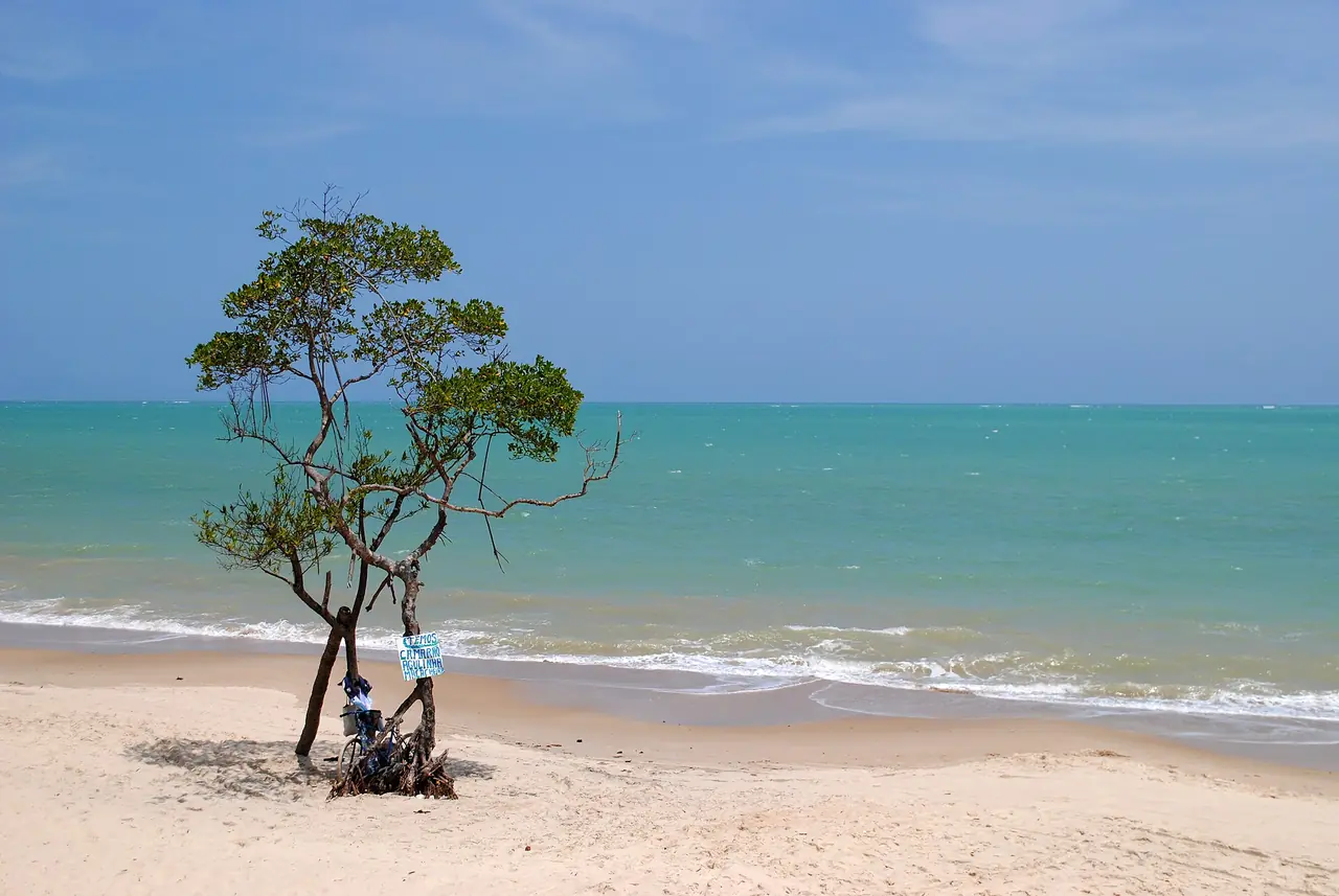 Falésias e mar da Praia de Carro Quebrado