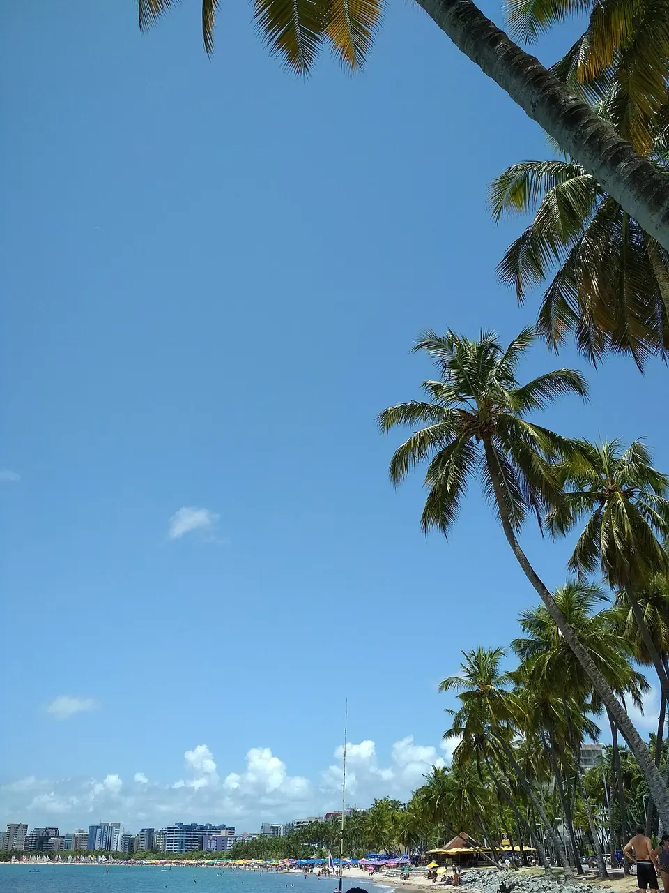City Tour em Maceió em Alagoas