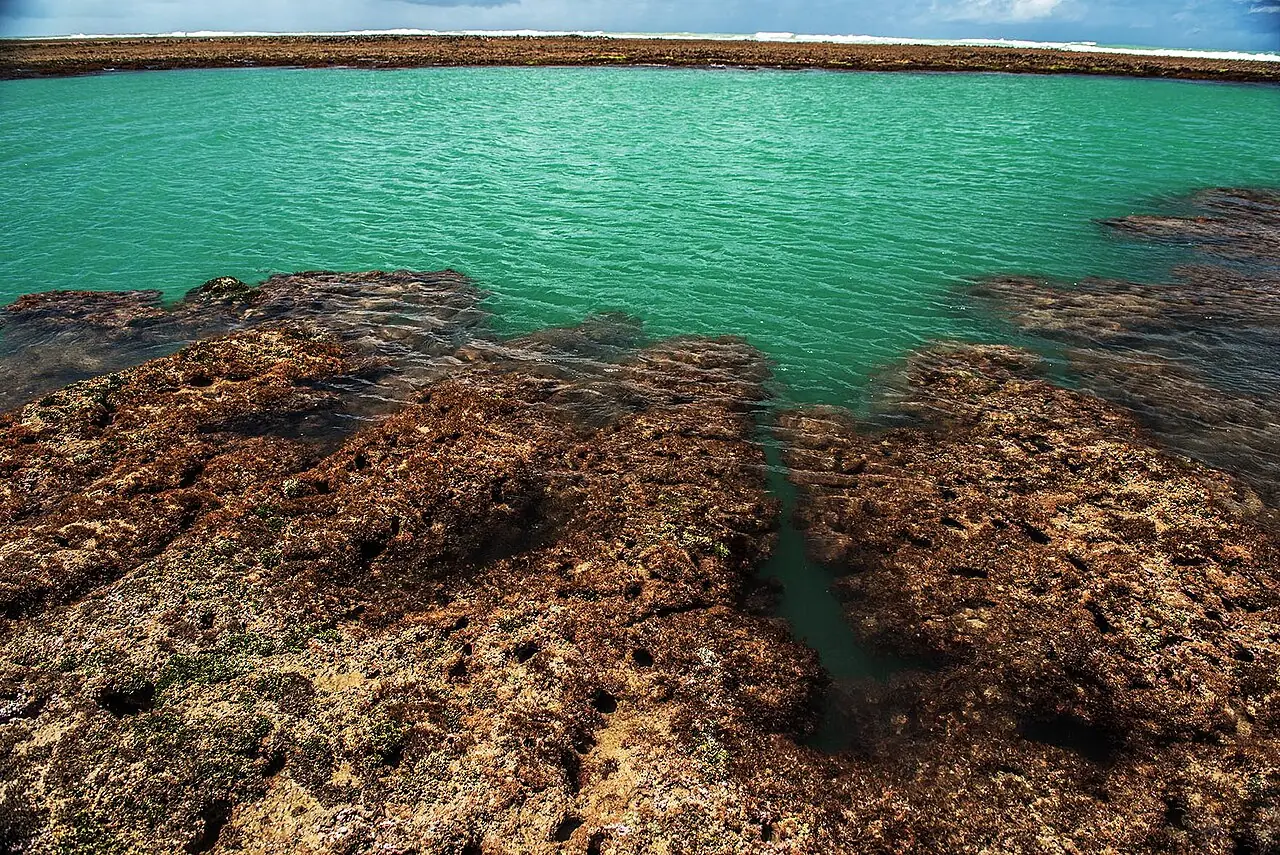 Praia do Patacho e Porto de Pedras em Alagoas