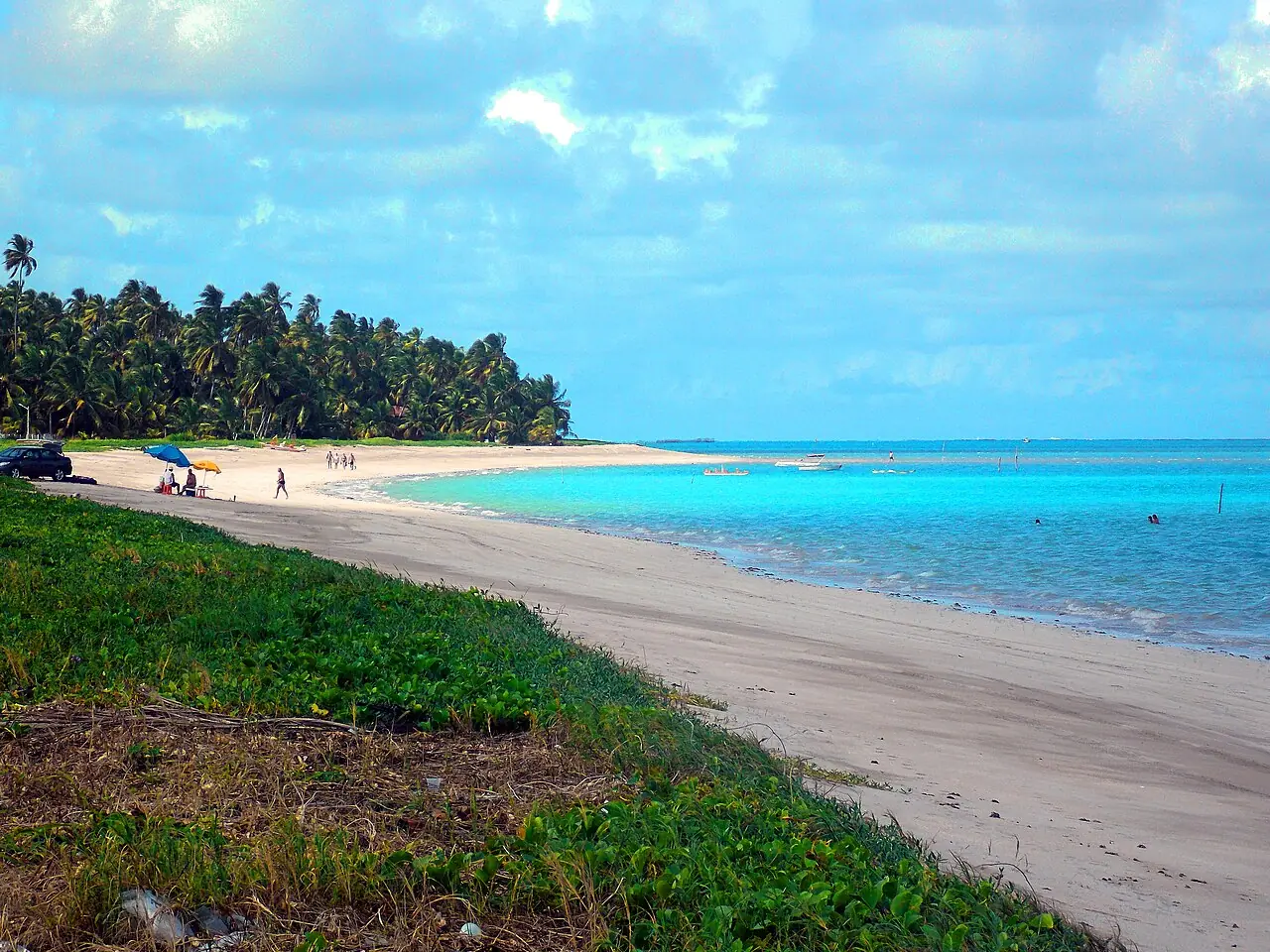 Snorkel e Mergulho Livre em Alagoas